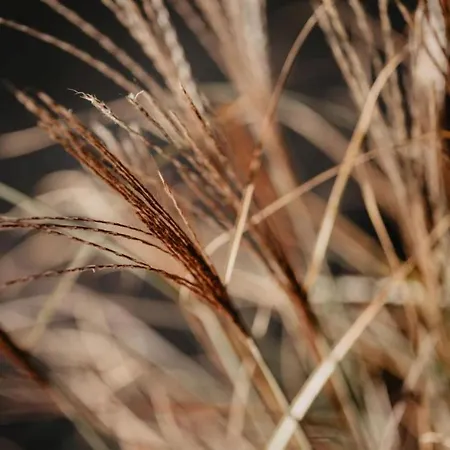 Apartmán Rheinzeit-weisweil