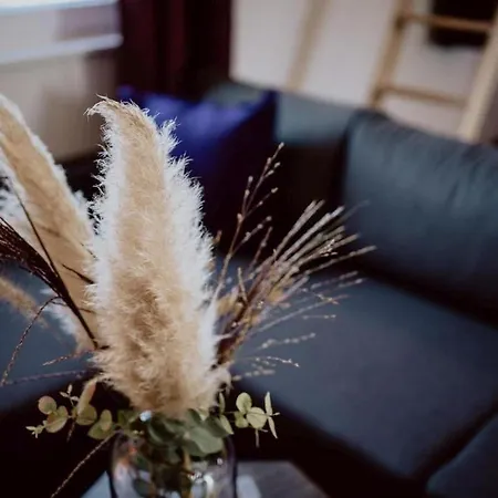 아파트 Rheinzeit-weisweil *