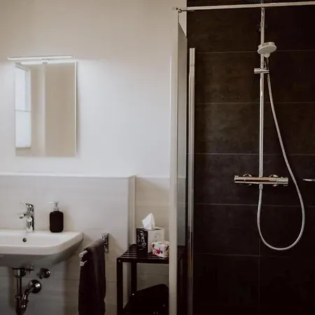 Rheinzeit-weisweil 아파트 *