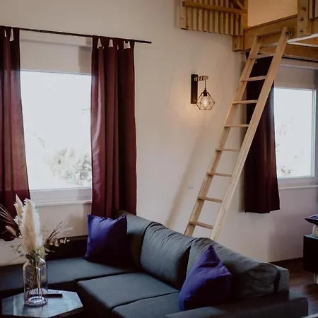 Rheinzeit-weisweil * Weisweil (Emmendingen)