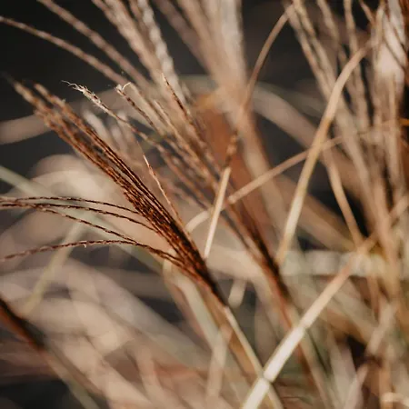 Rheinzeit-weisweil 아파트 Weisweil (Emmendingen)