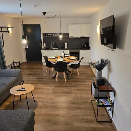 Rheinzeit-weisweil 아파트 *