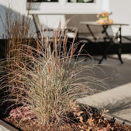 아파트 Rheinzeit-weisweil *